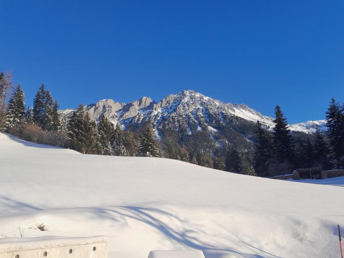 Apartamento Bauernhof Vordergrub Scheffau am Wilden Kaiser Exterior foto